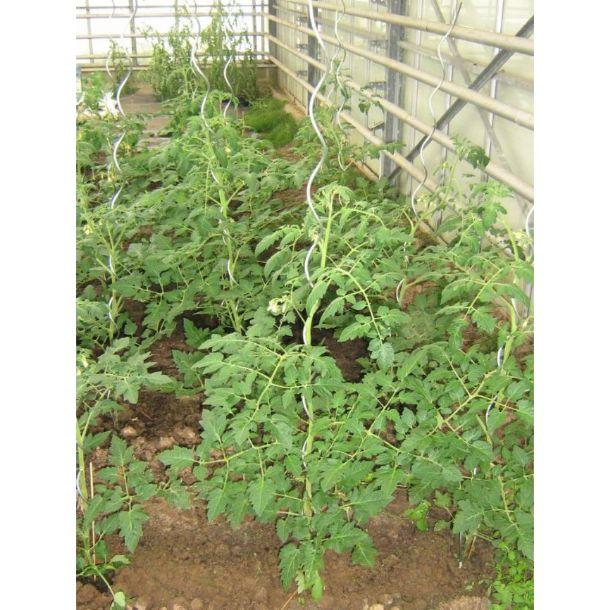 Supports pour plantes