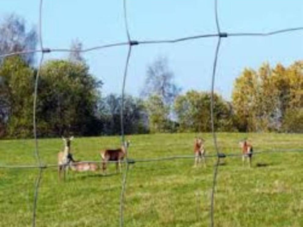 Grillage noués