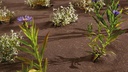 BioWeedtex 150g/m² - en rouleau
