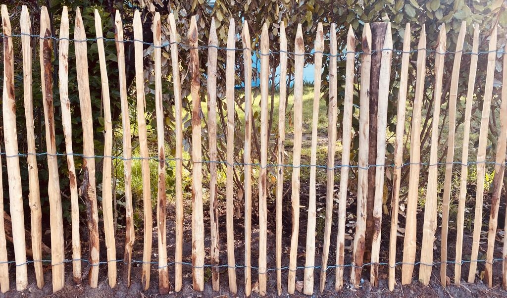 Clôture en châtaignier espacement 35 mm