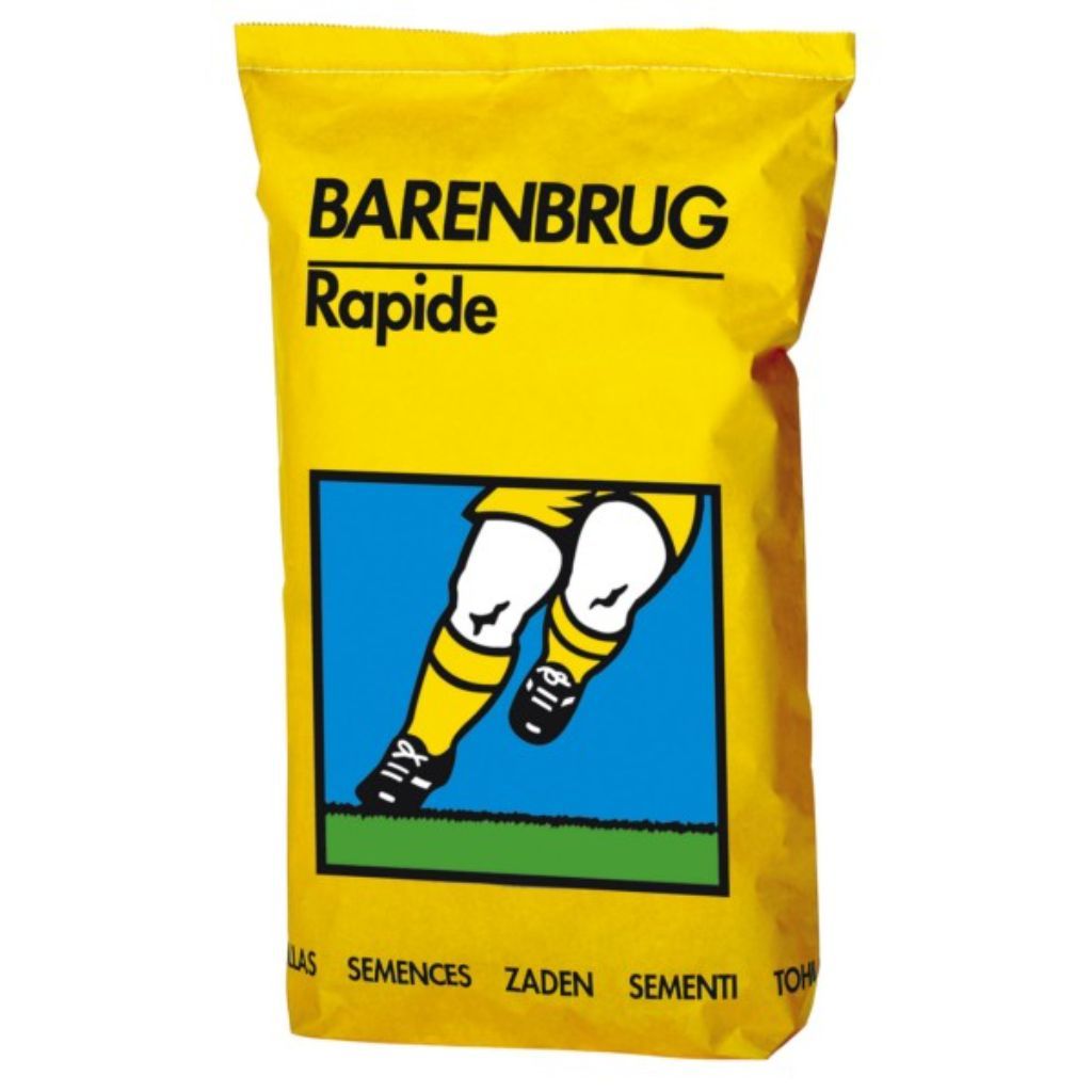 Semences Gazon Rapide  - Barenbrug