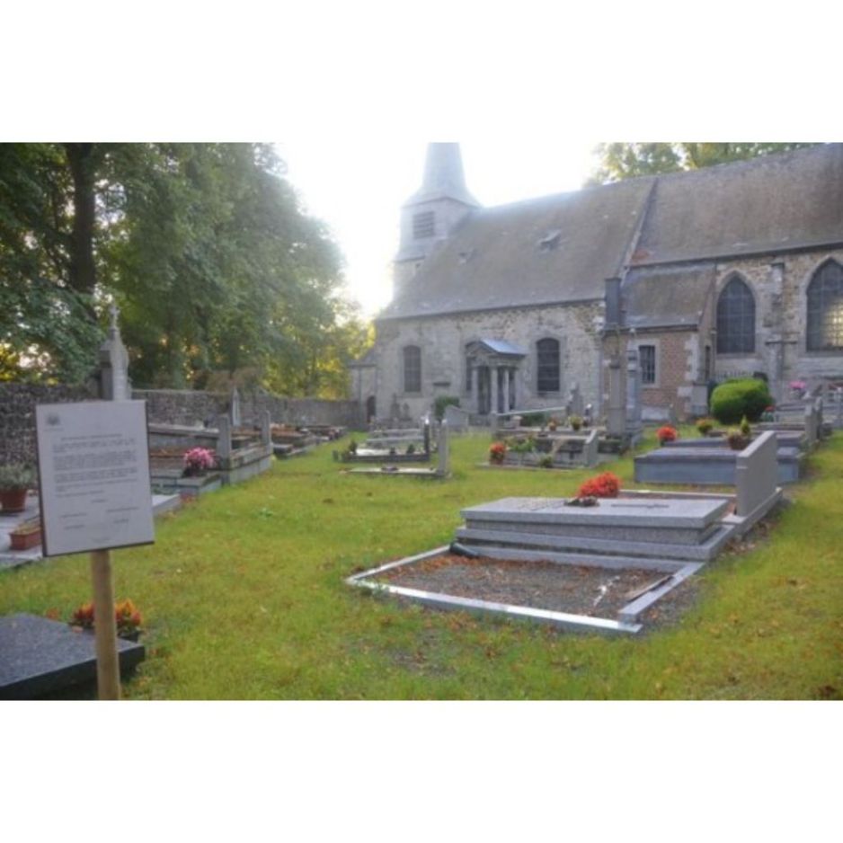 Semences Pelouse fleurie 95/5 pour allées en gravier et cimetières - Ecosem