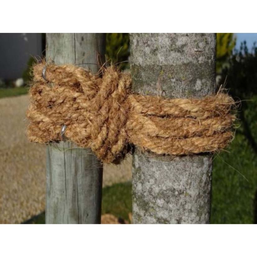 Corde coco 100% végétale pour tuteurage