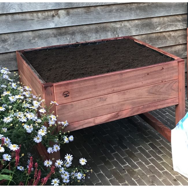 Table potagère en Padouk 50x50cm - Thomas