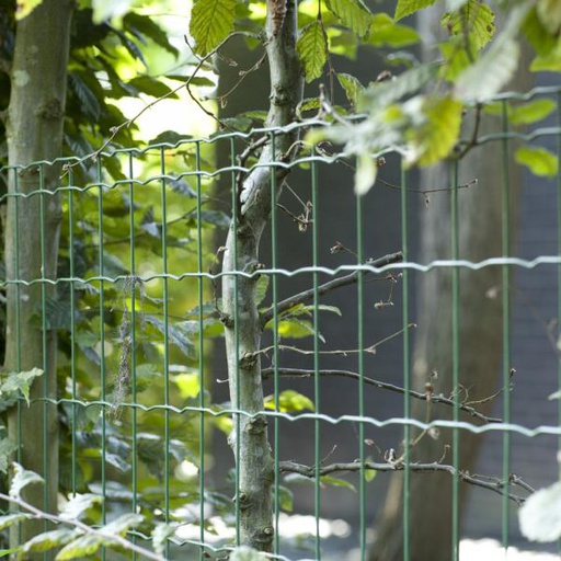 [LIQ-BETAPANTANET203X25] Pantanet Family Betafence - en rouleau VERT
