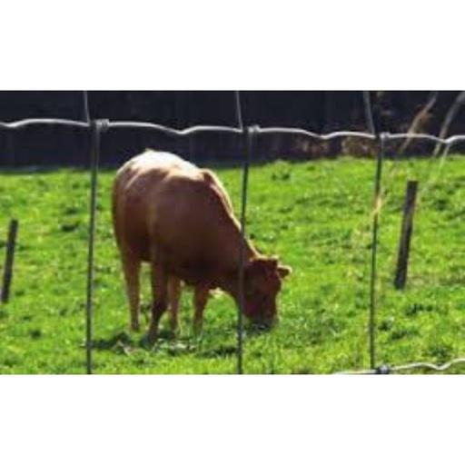 Prairie type medium Arcelor - en rouleau